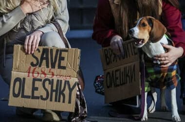 Russia halts strikes on Ukraine’s Kherson as Oleshky ceasefire takes effect