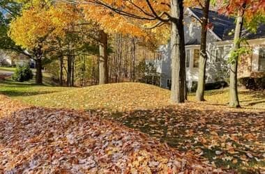 Temperatures are still running above average for late October